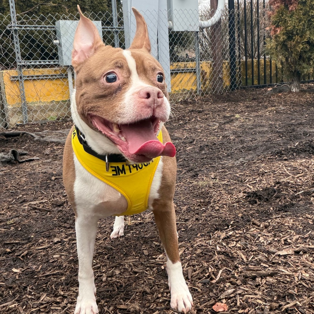 Hershey — thumbnail 5