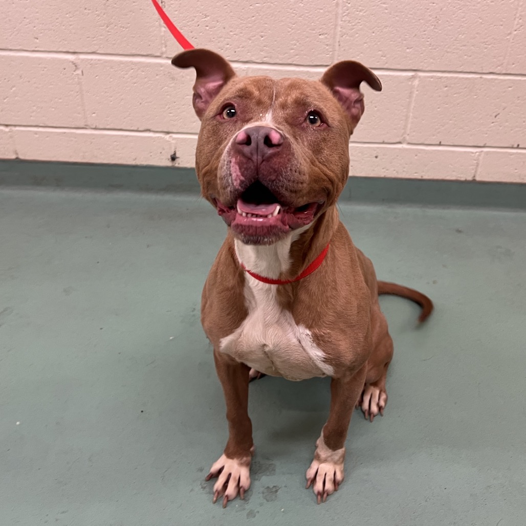 Emily — thumbnail 2