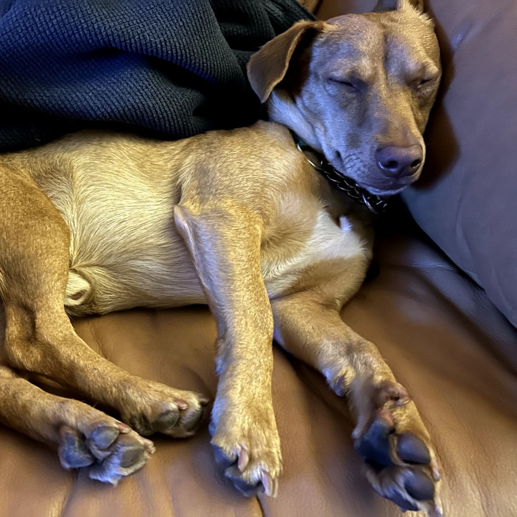 Napa — thumbnail 2