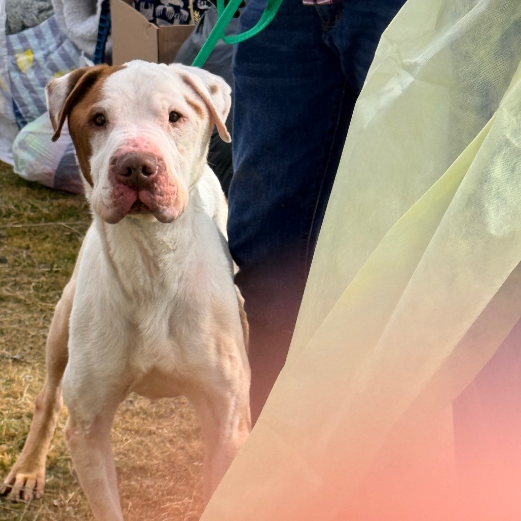 Rock — thumbnail 3