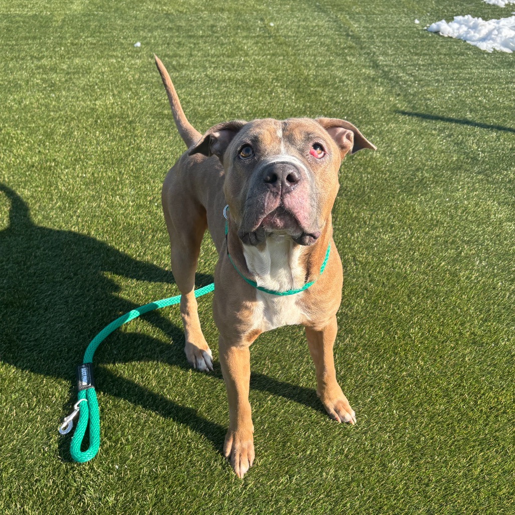 Ice Cube — thumbnail 3