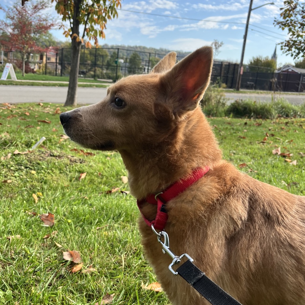 Photo of Nevaeh 4