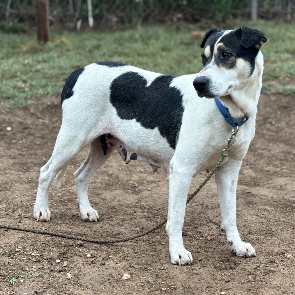 Regina George — thumbnail 10