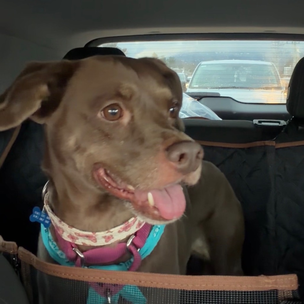 Molly — thumbnail 4