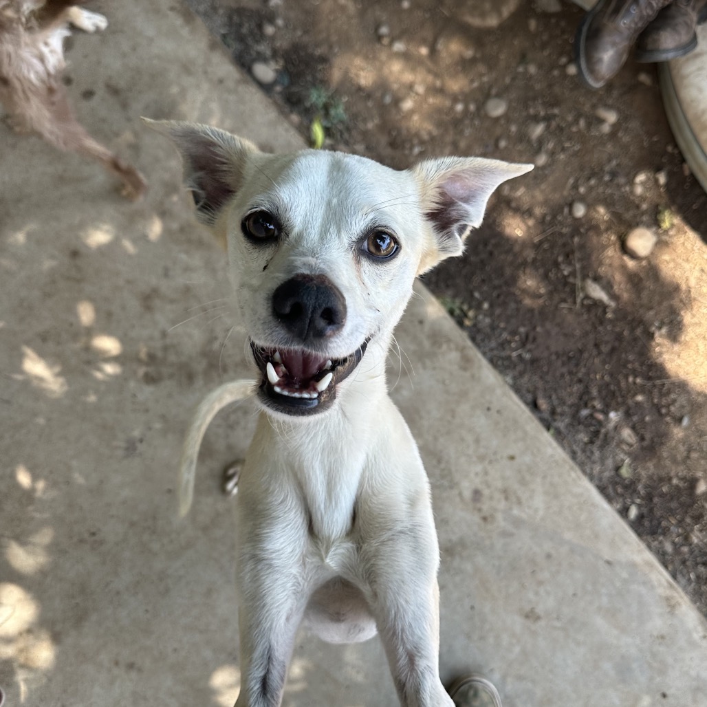 Fran — thumbnail 2