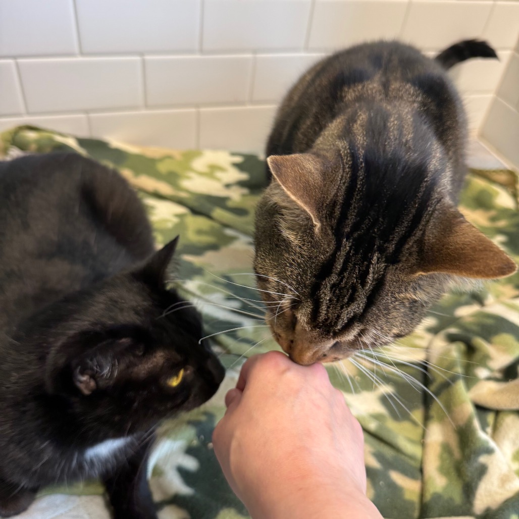 Photo of Hope and Tucker 12