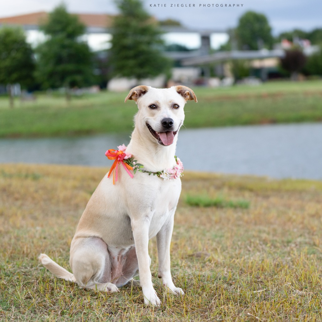 Pearl, photo 8