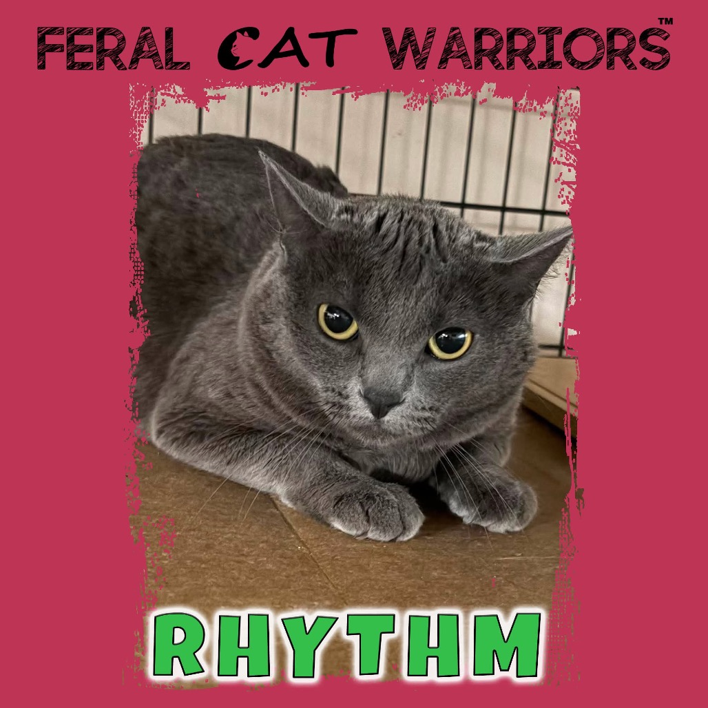 Rhythm 