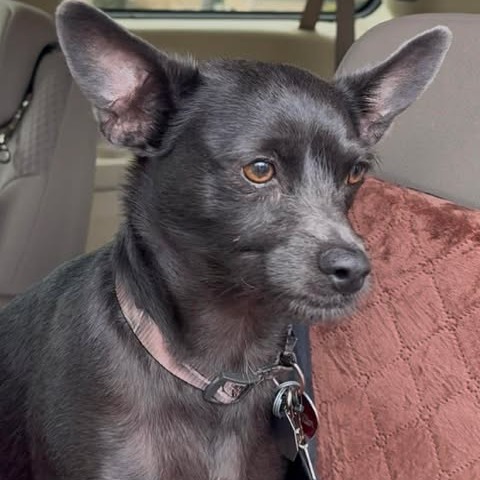 Photo of Rico "Duffus"