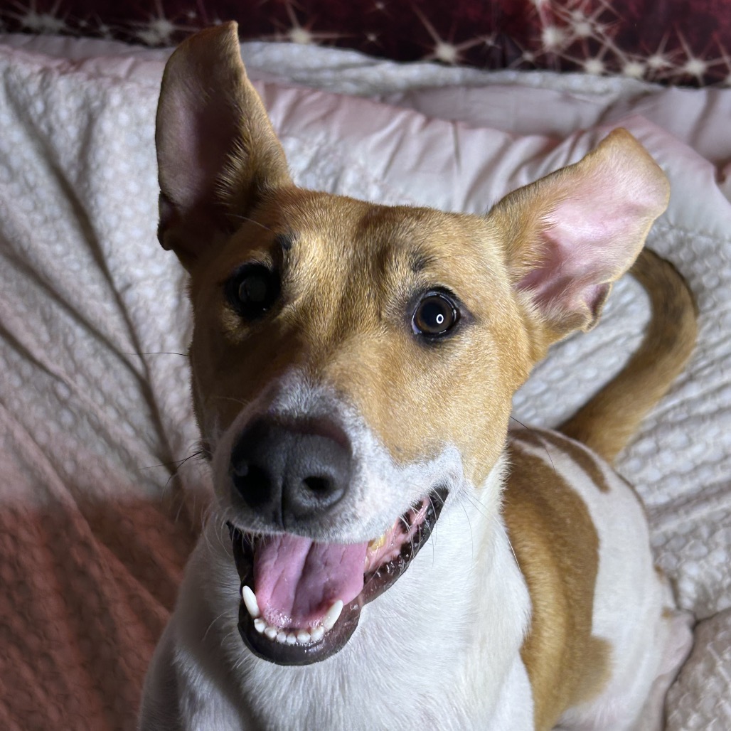 Nicole — thumbnail 2