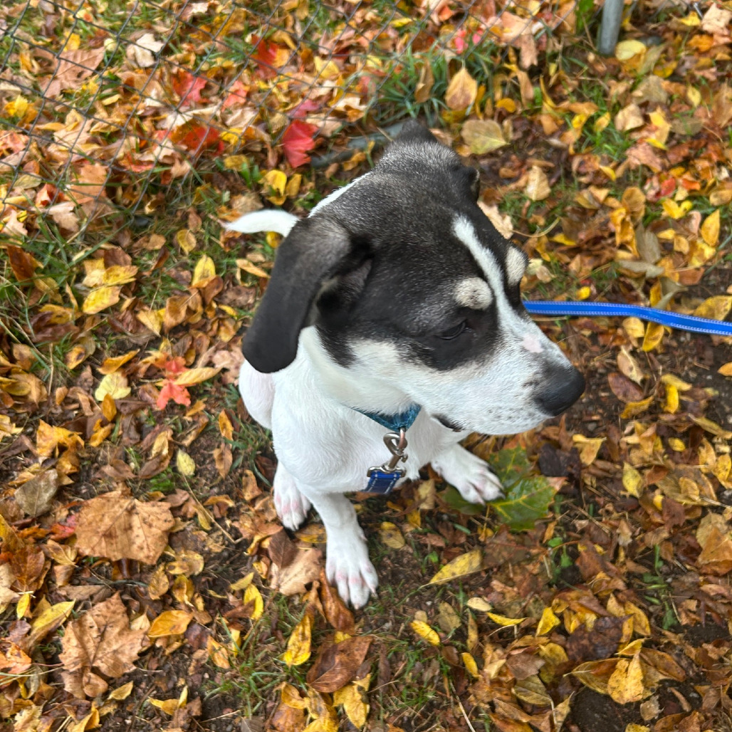 Tracker, photo 31