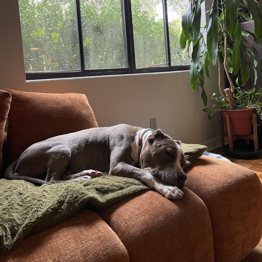 Moonshine, photo 27