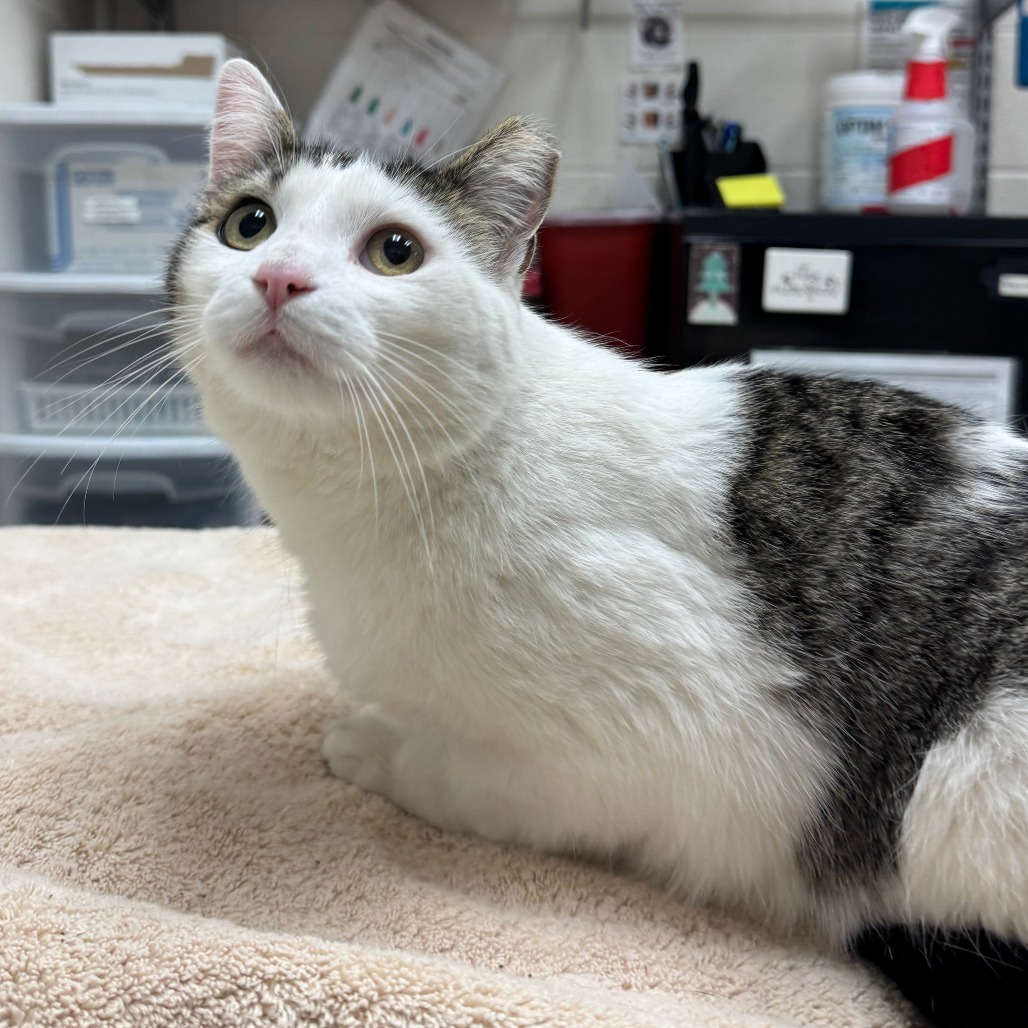 Jaden — thumbnail 2