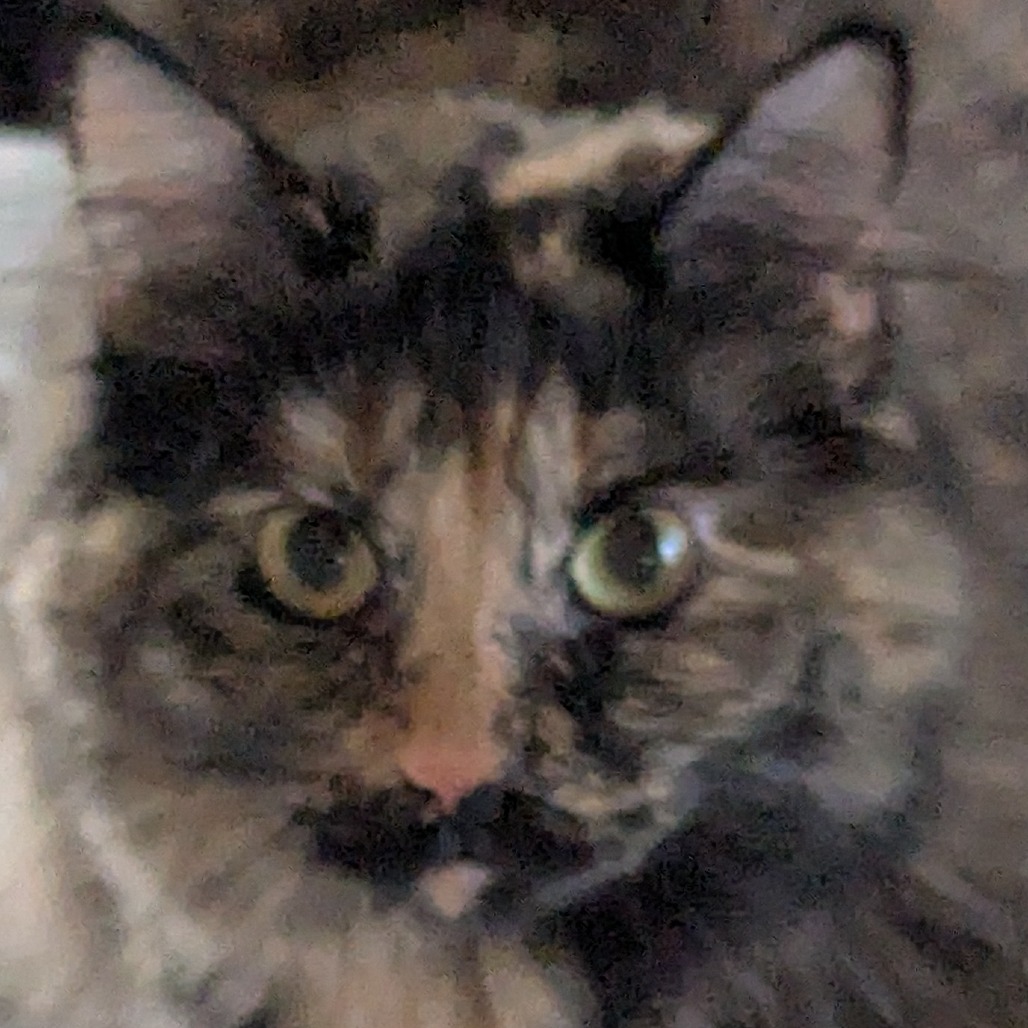 Daphne
