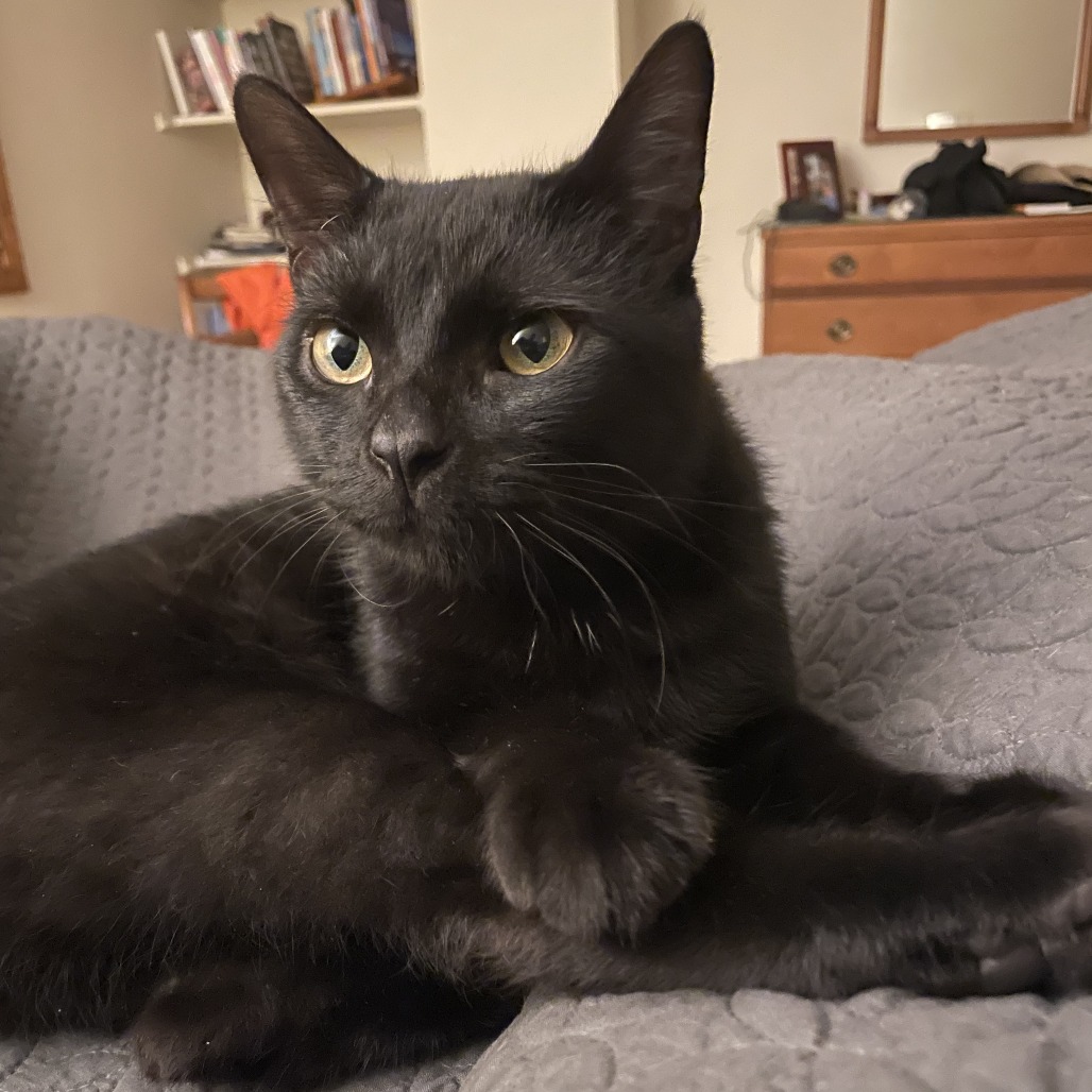 Photo of Montague