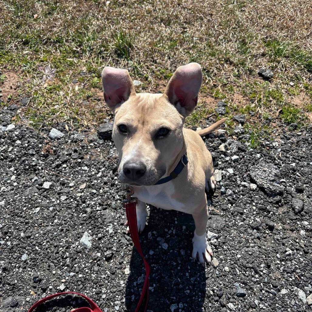 Pippa 01-1426, photo 6