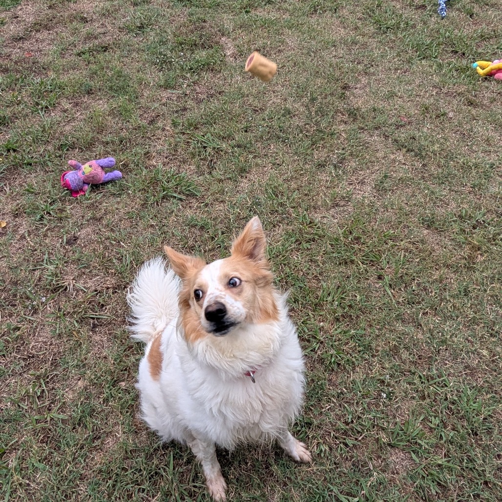 Sandy photo 16