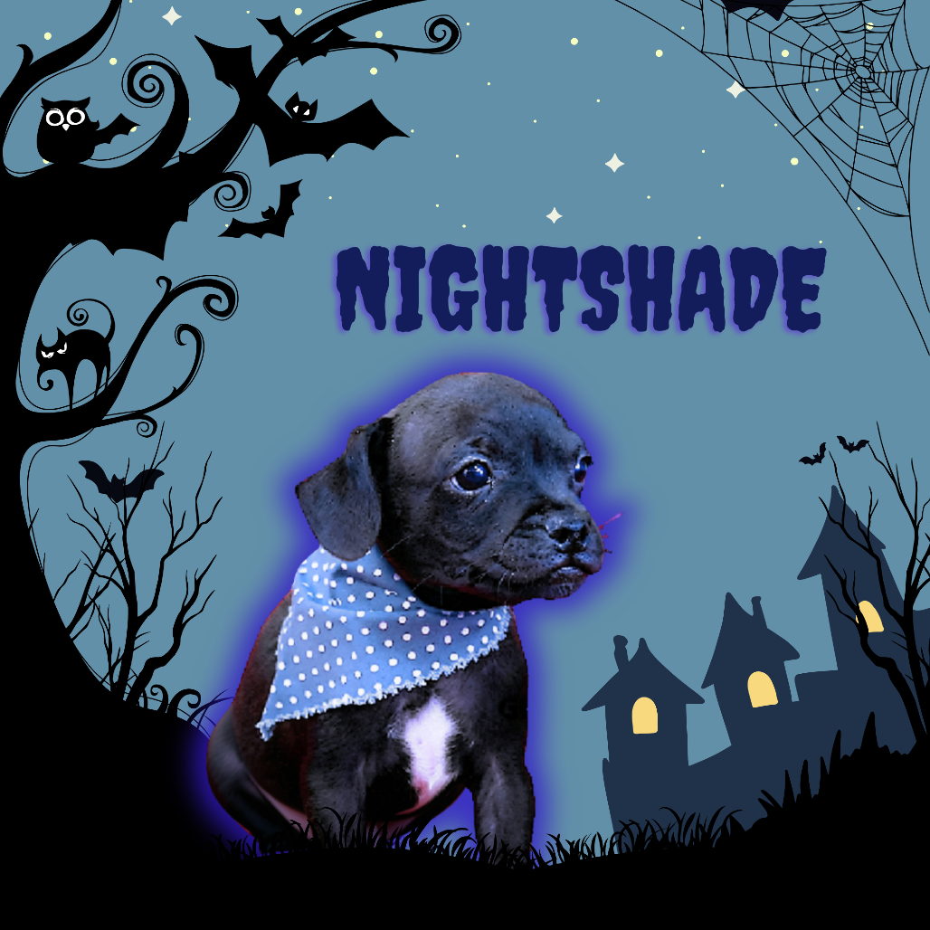 Nightshade