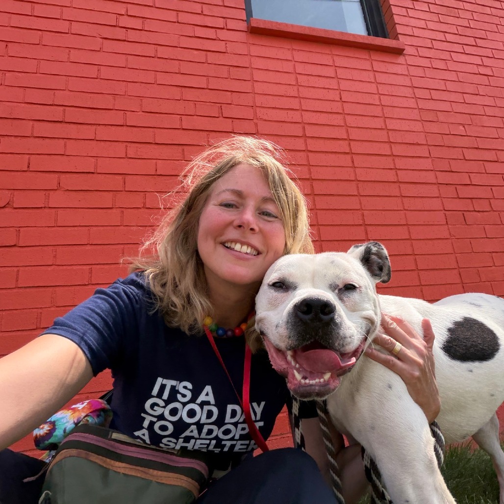 Ice-T is available for adoption at CARE - Center for Animal Rescue ...