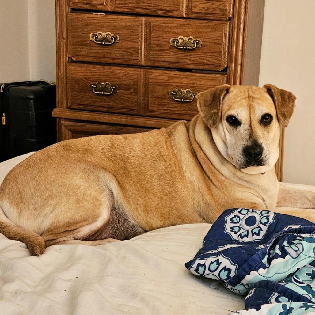 Tammy, photo 4
