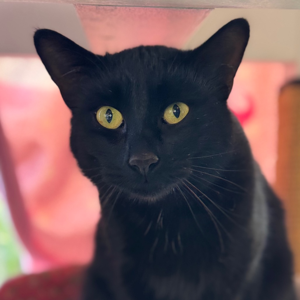 Salem, photo 2