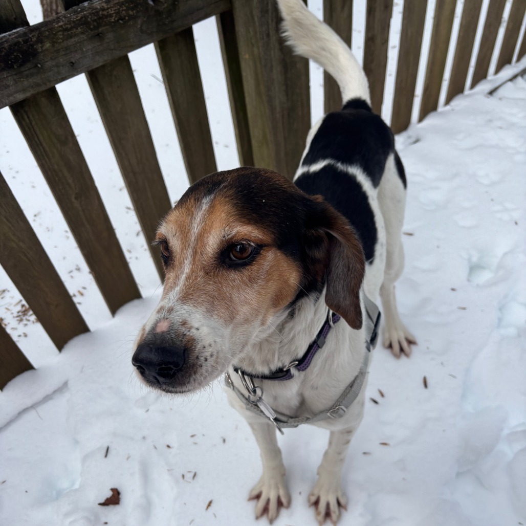 Cupid — thumbnail 4