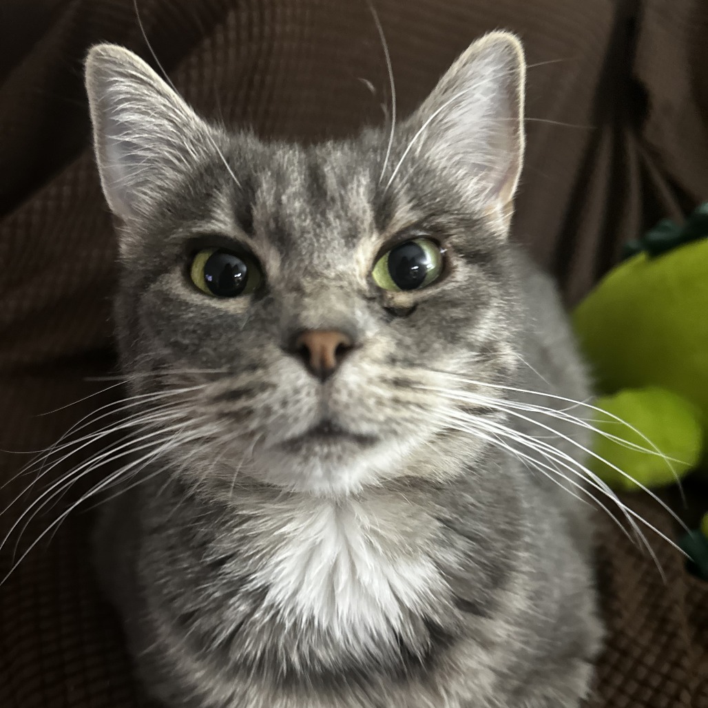 Kiara, photo 8