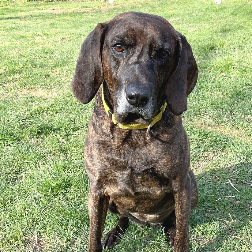 Missy, photo 5