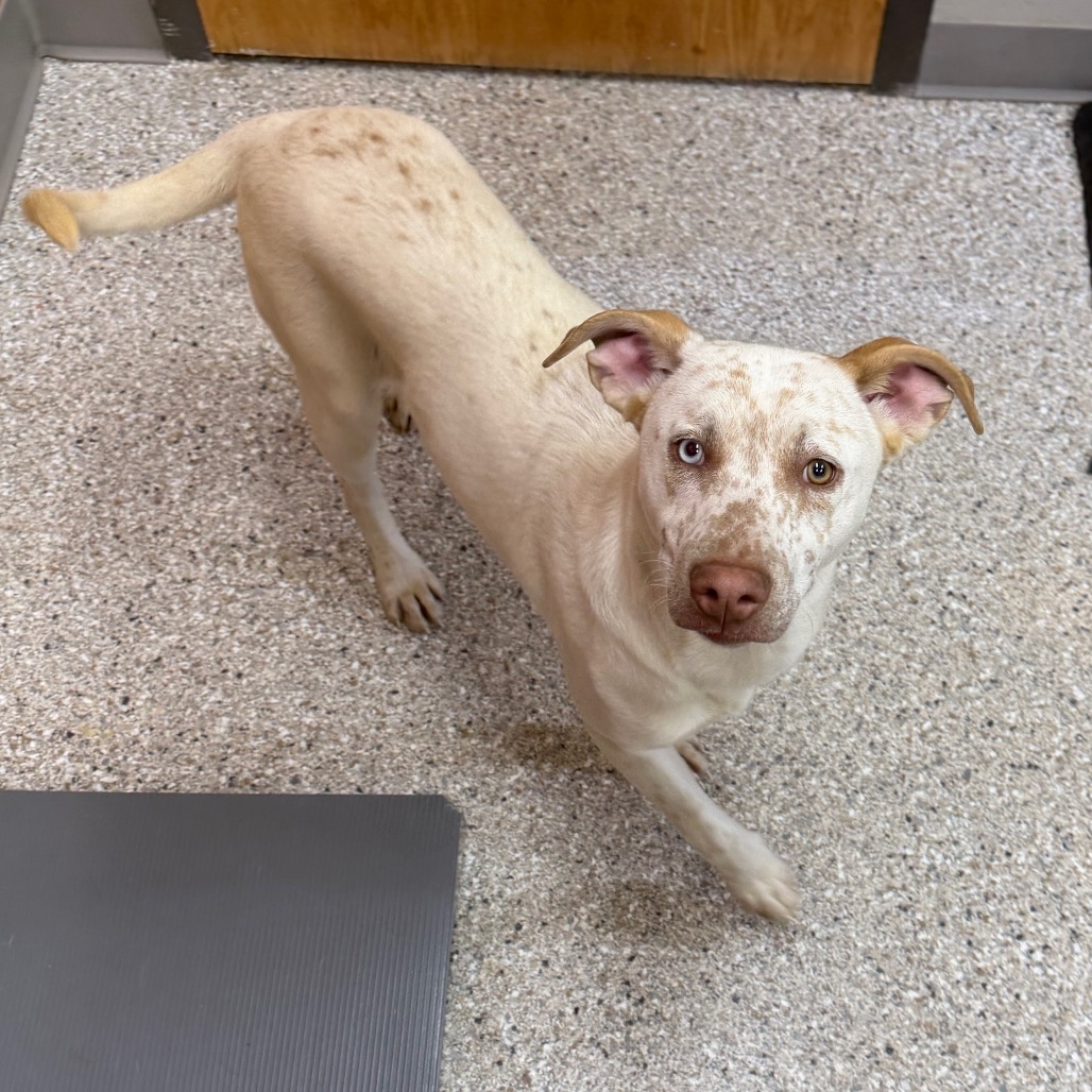 Mystic — thumbnail 2