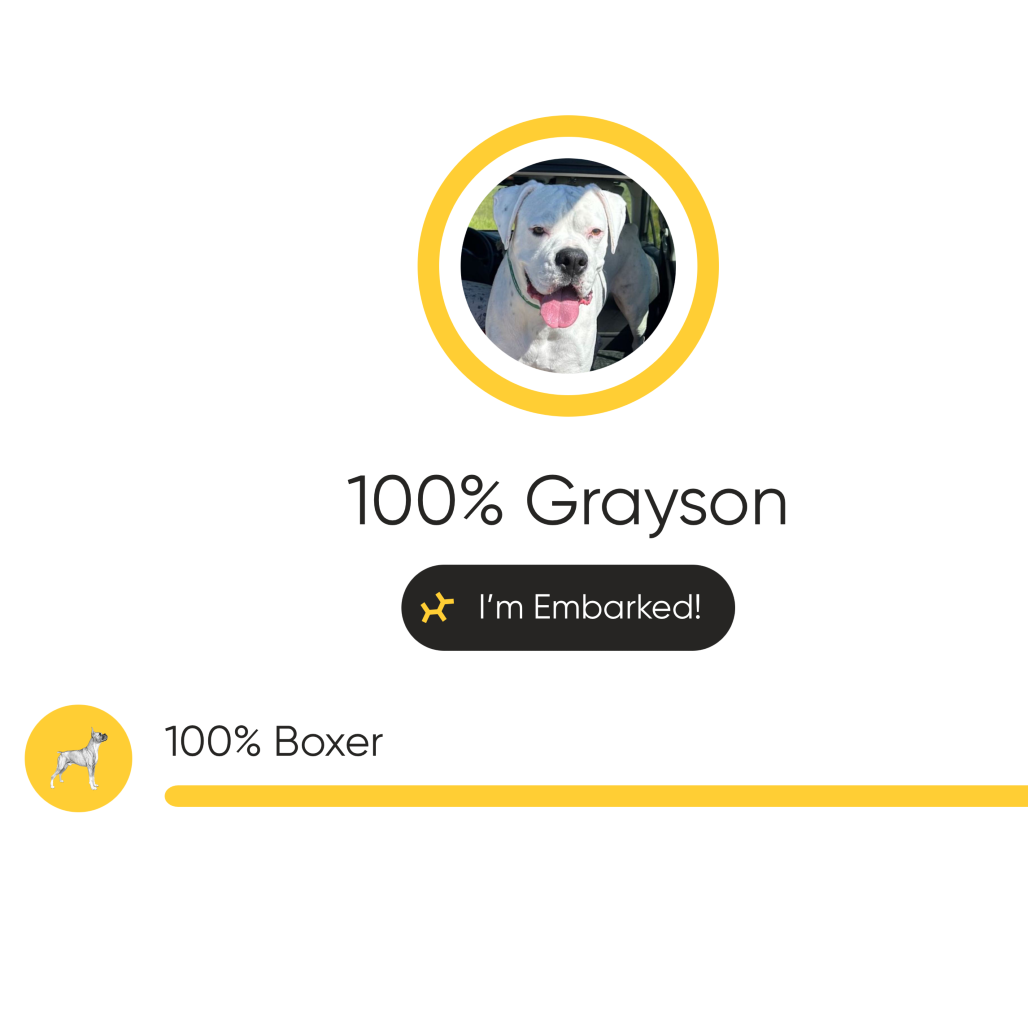 GRAYSON, photo 21