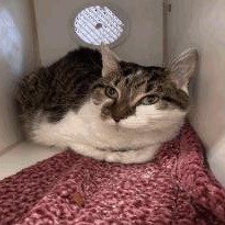 Evelyn — thumbnail 4