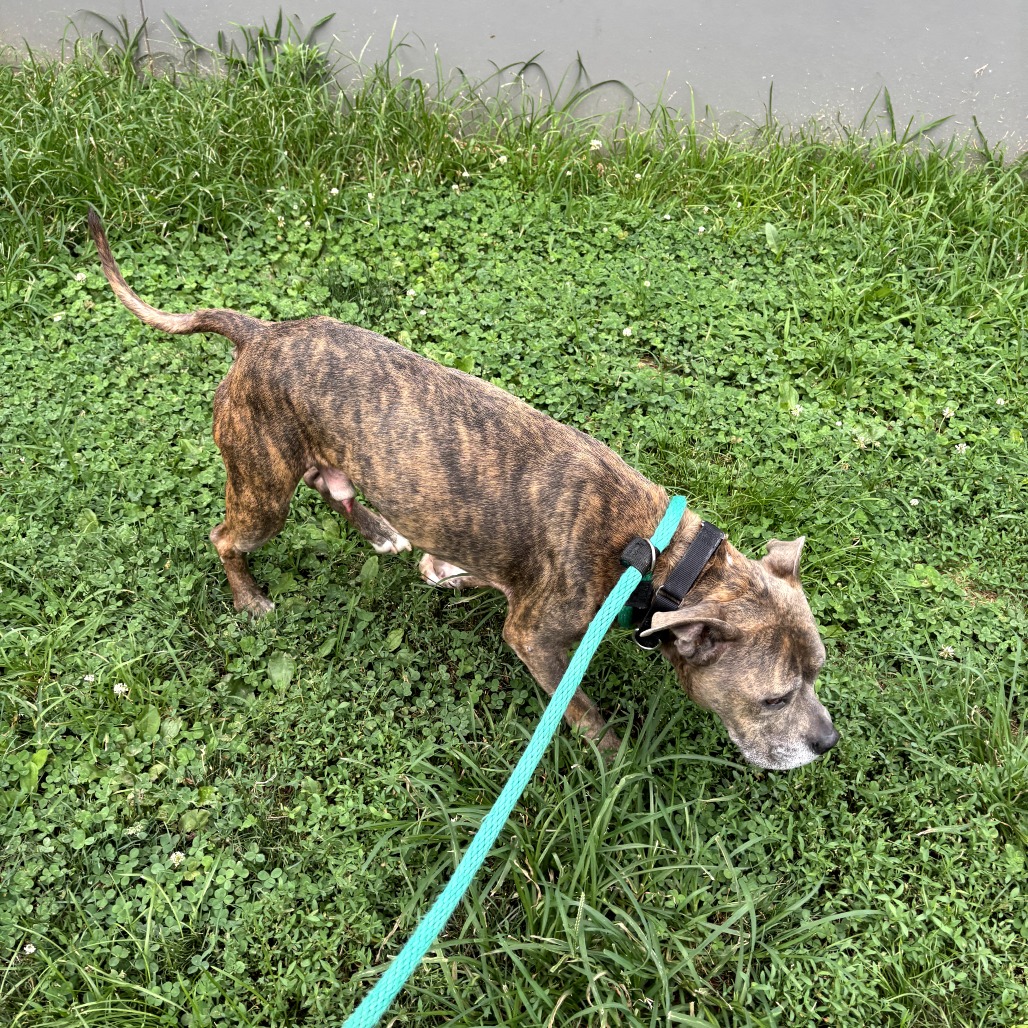 Bailey Blue, photo 6