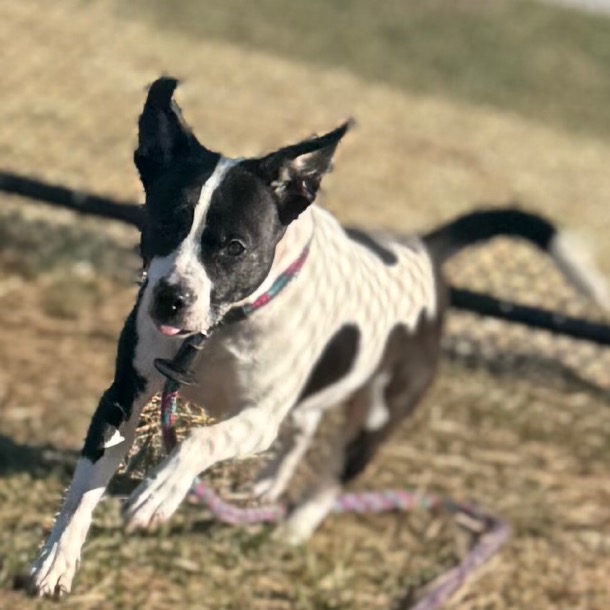 15062b3518a89f9b4d1b864f30bd1a98