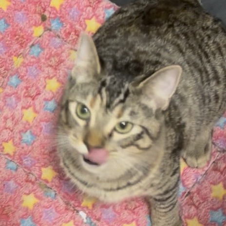 Louise, photo 18