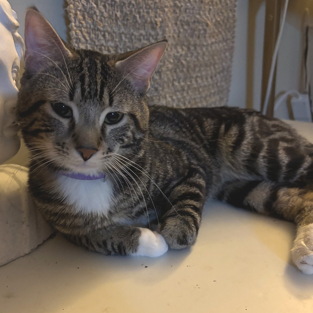 da9ff2fc61a8e75456ead622b3fe4194