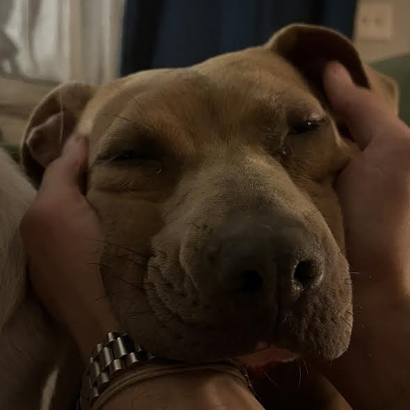 Nora — thumbnail 9