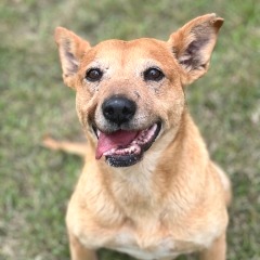 Photo of Luna
