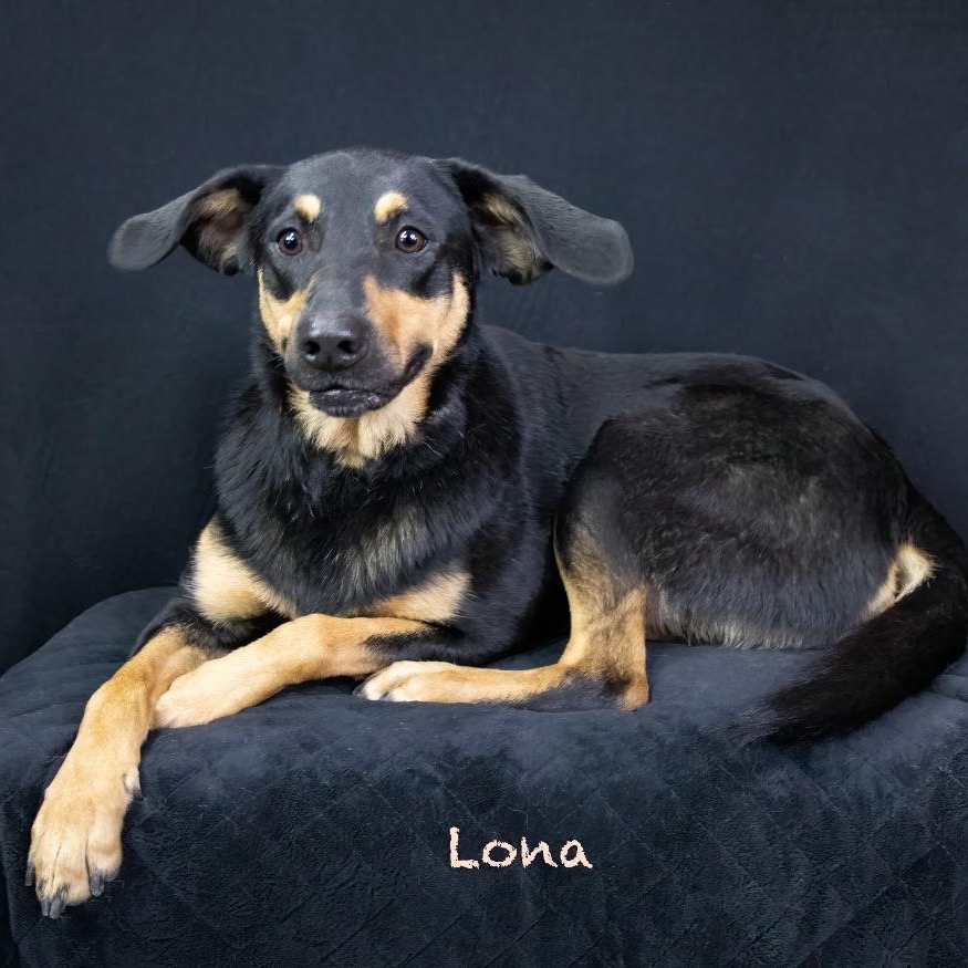 Lona