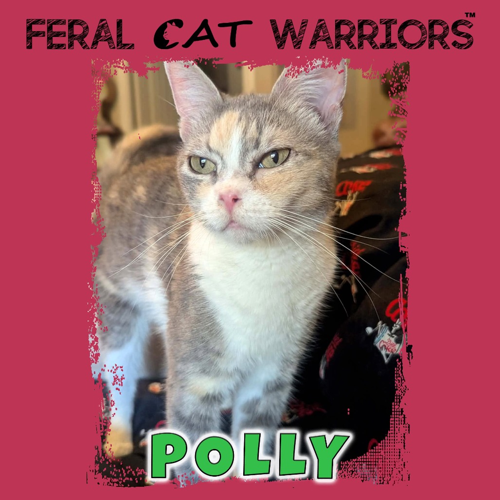 Polly 