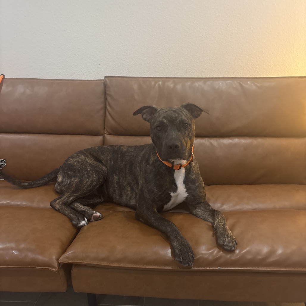 Daisy (Hershey), photo 5
