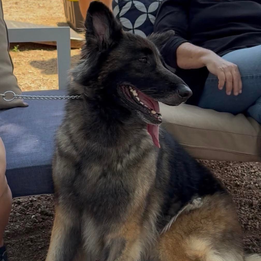 Photo of Rose (Roxy)