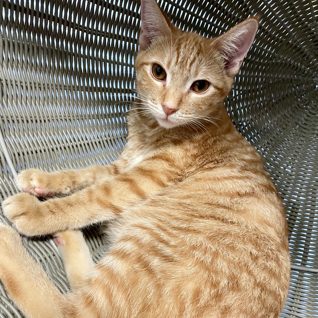 Fred
