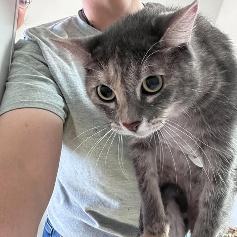 Luna 26-09-106