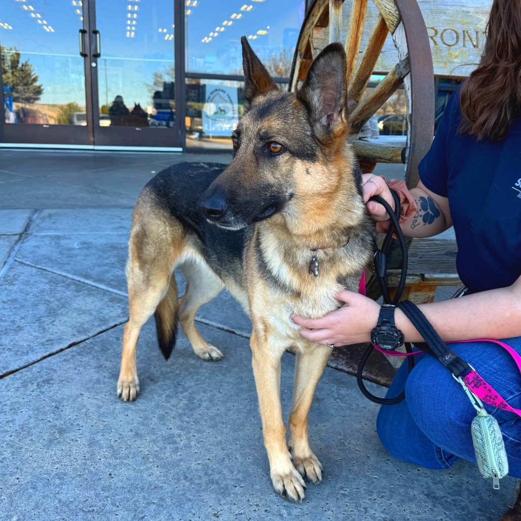 Kiki (Courtesy Listing)