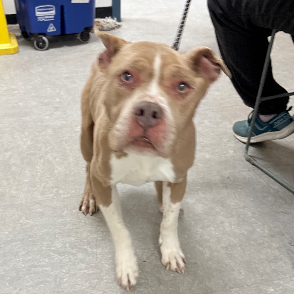 Alibi — thumbnail 2