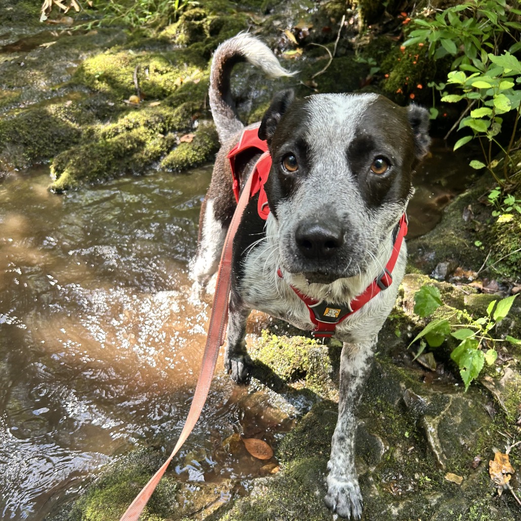 Tracker, photo 14