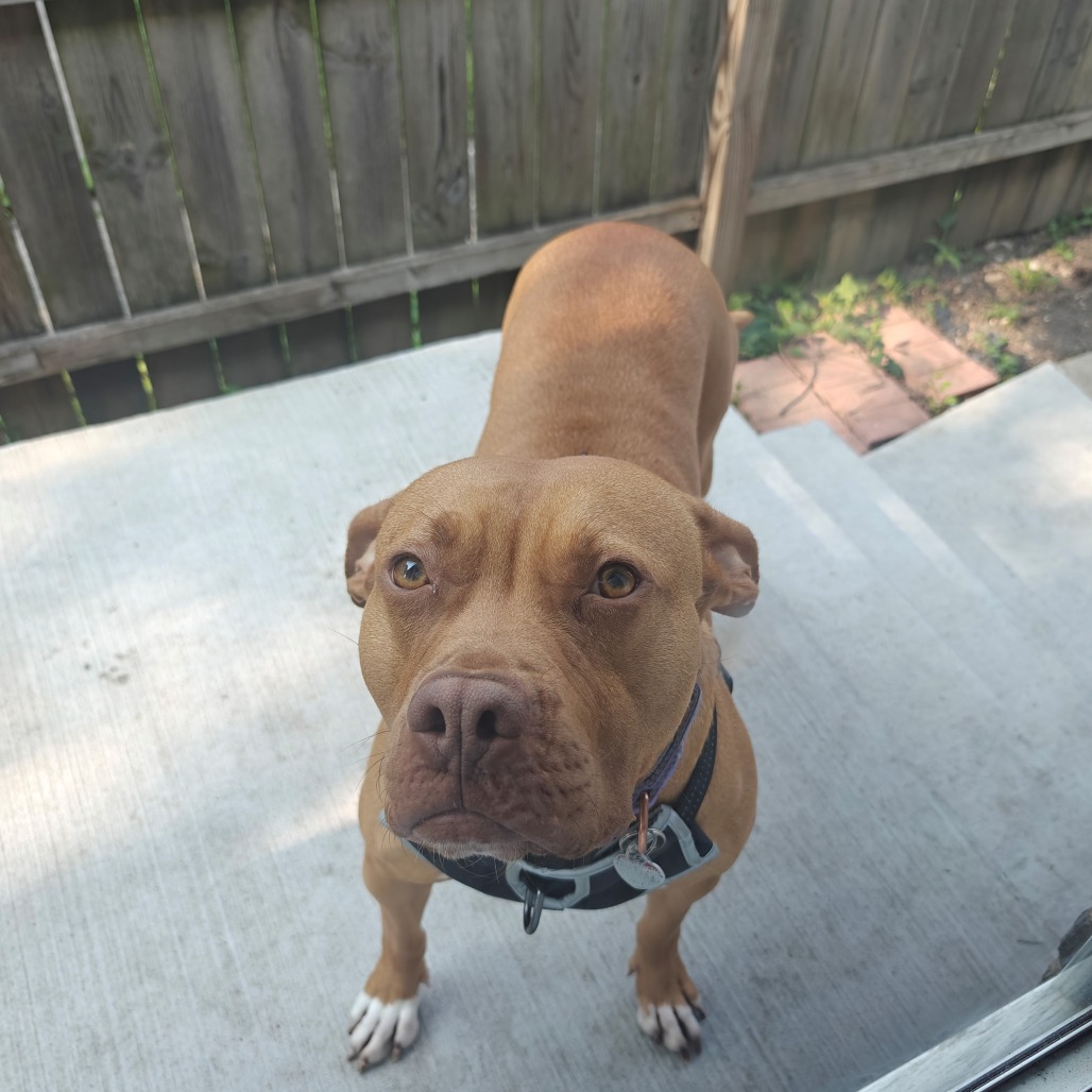 Faith — thumbnail 5