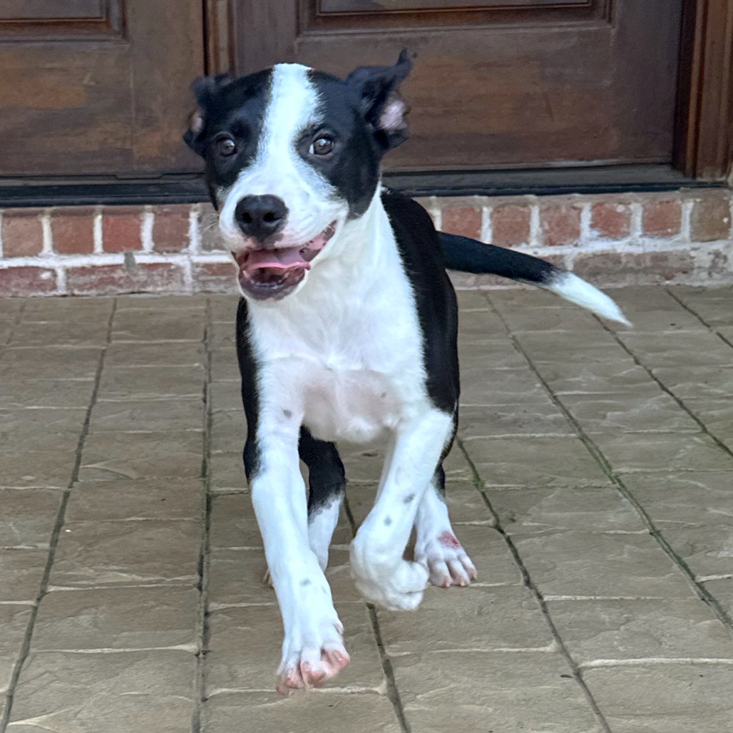 Larry — thumbnail 5