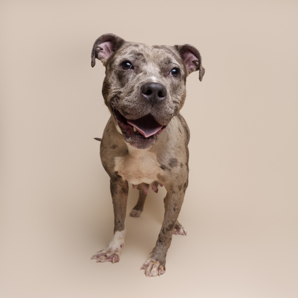 Photo of Orzo