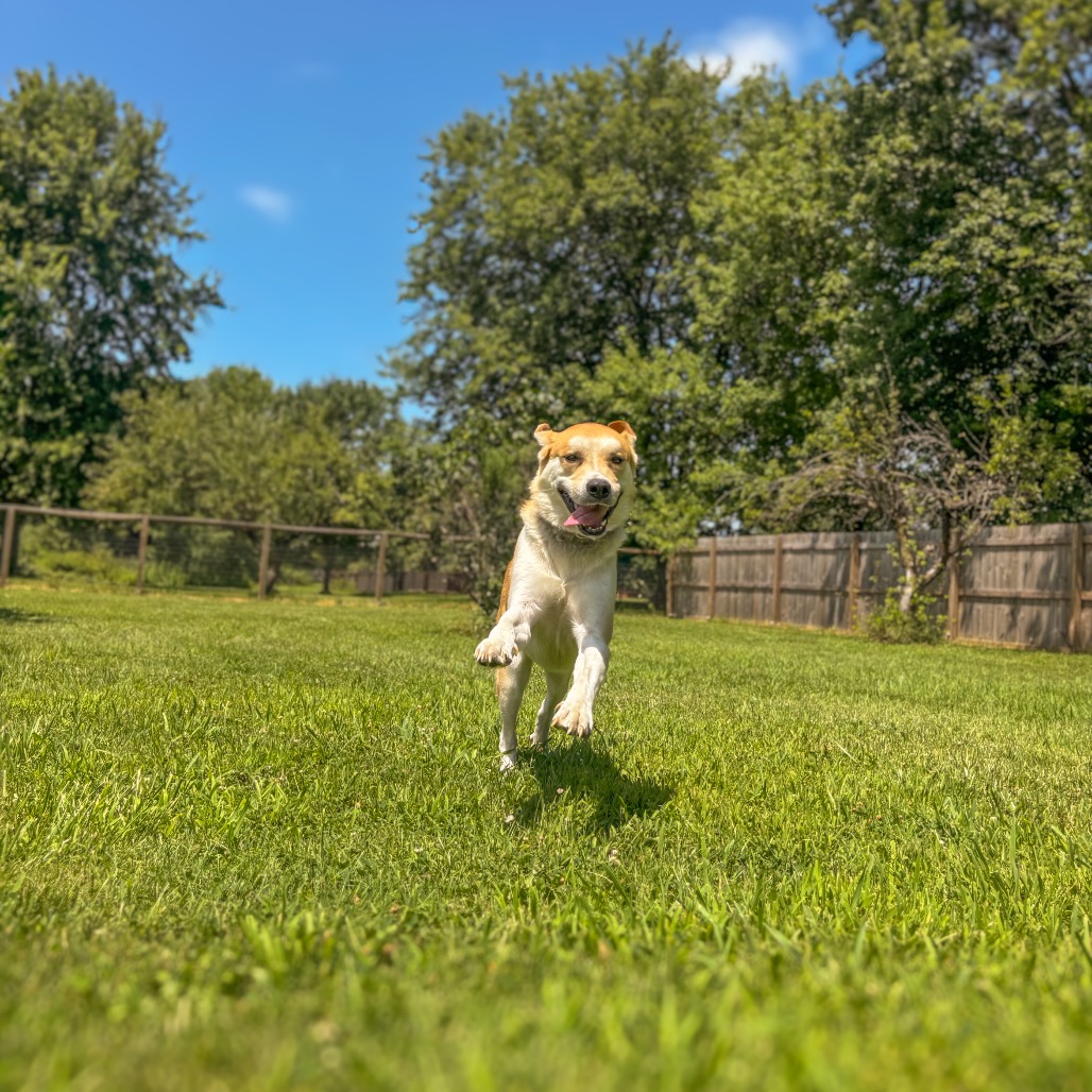 Happy, photo 18